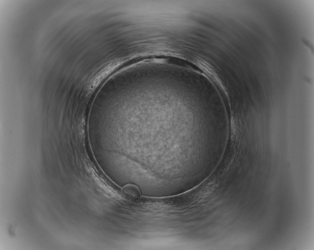 X0000103140389200808221221