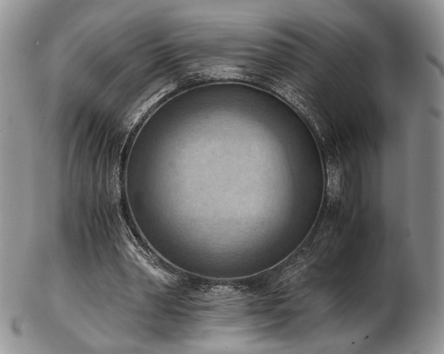 X0000103140390200808221221