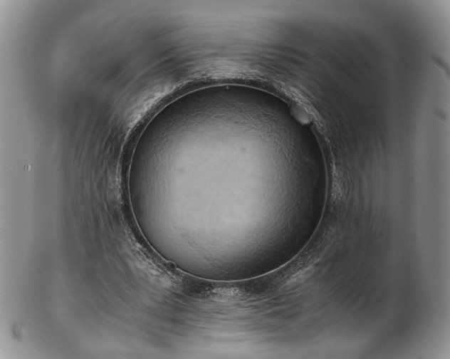 X0000103140391200808221221