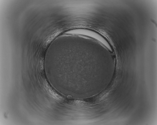 X0000103140393200808221220