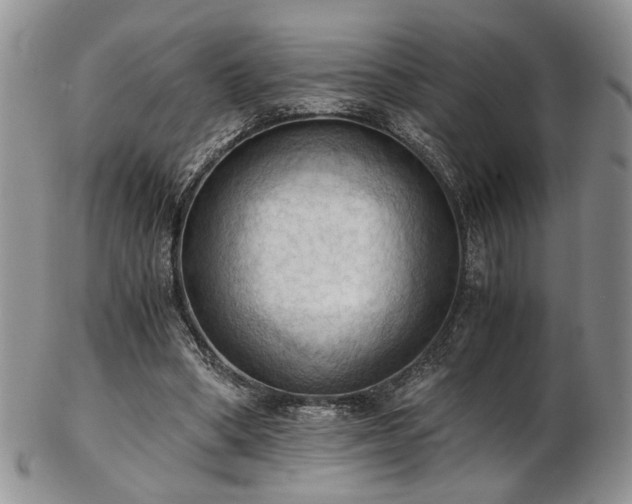 X0000103140394200808221220