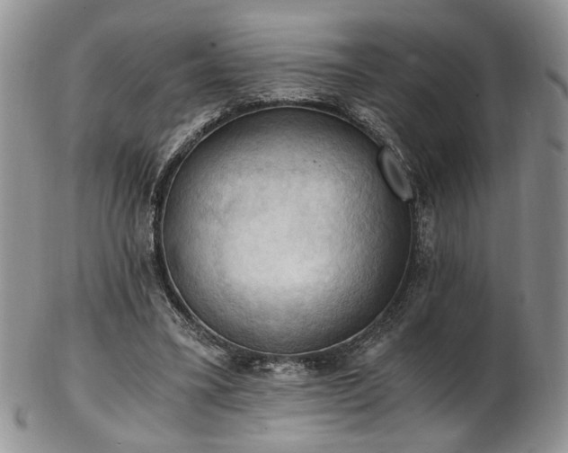 X0000103140395200808221220