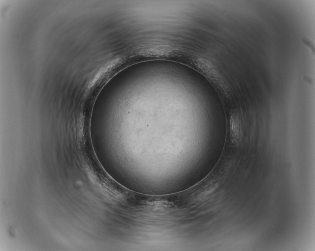 X0000103140396200808221220