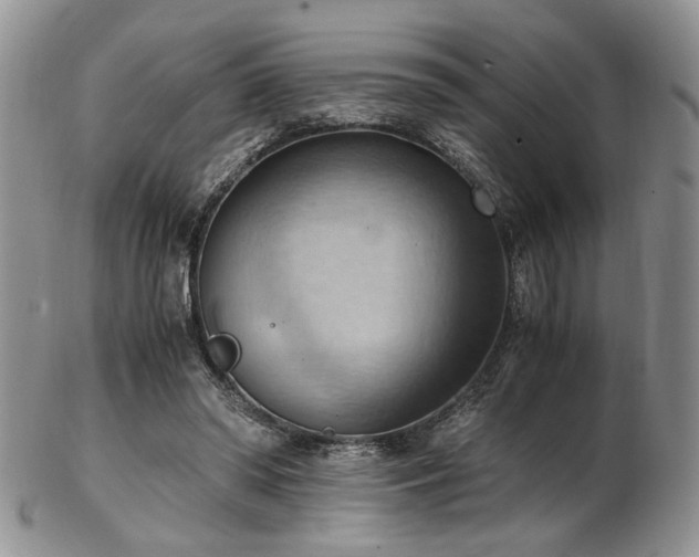 X0000103140398200808221220