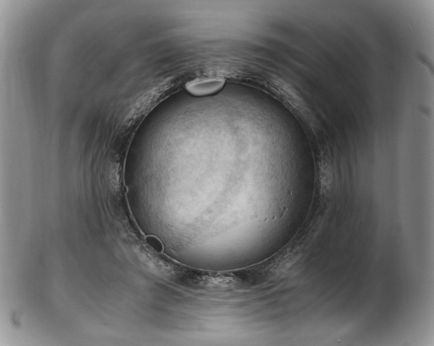 X0000103140401200808221220