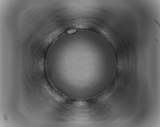 X0000103140402200808221220