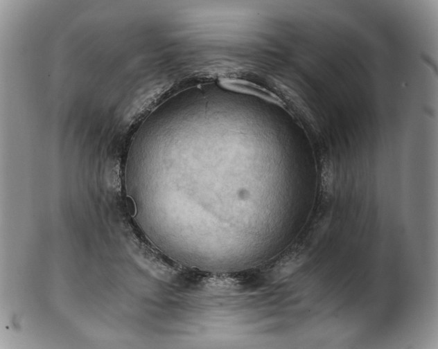 X0000103140403200808221220