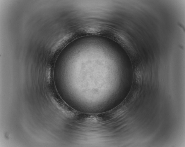 X0000103140404200808221220