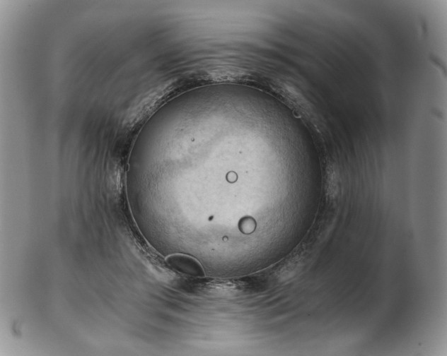 X0000103140405200808221220