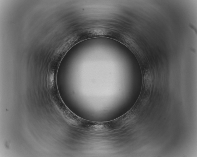 X0000103140406200808221220