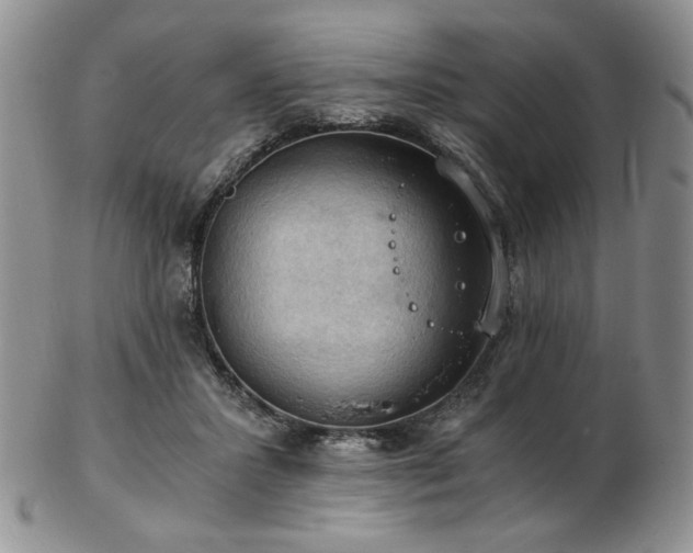 X0000103140407200808221220