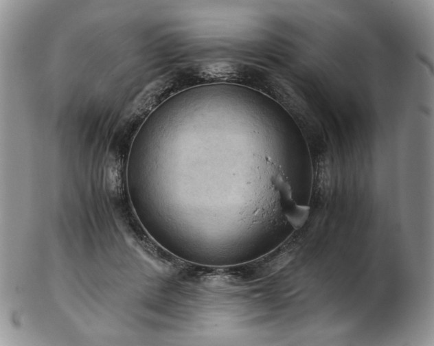 X0000103140408200808221220