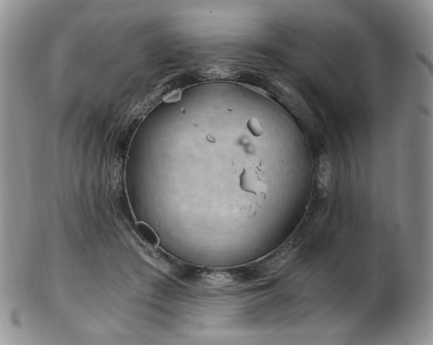 X0000103140409200808221220