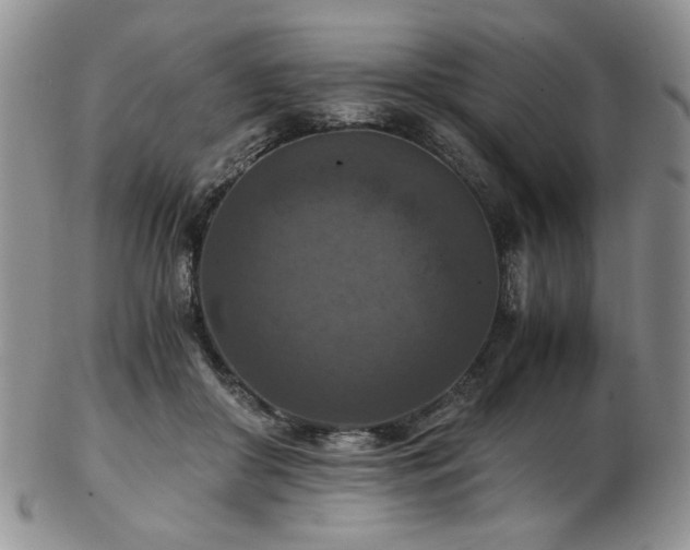 X0000103140410200808221220