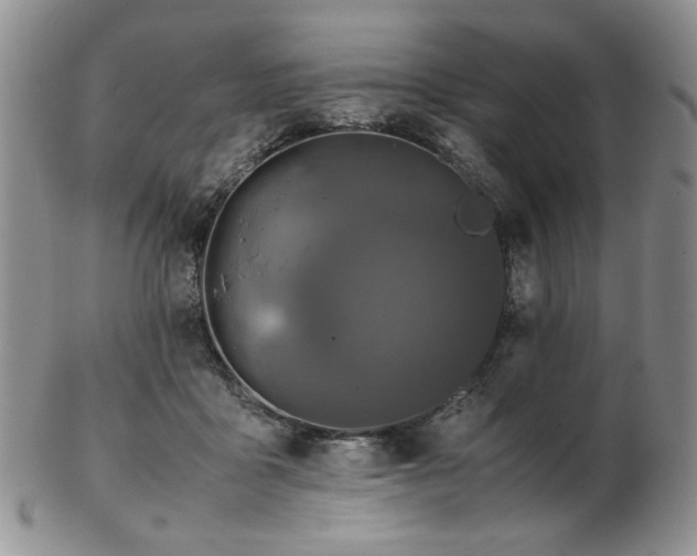 X0000103140411200808221220