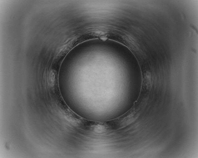 X0000103140412200808221220