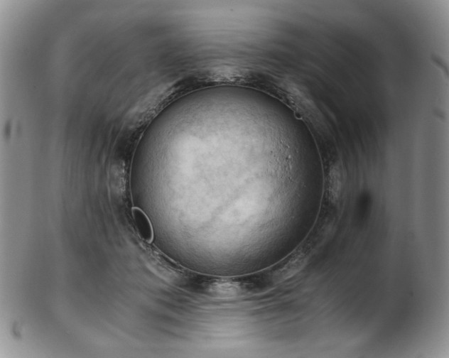 X0000103140413200808221220