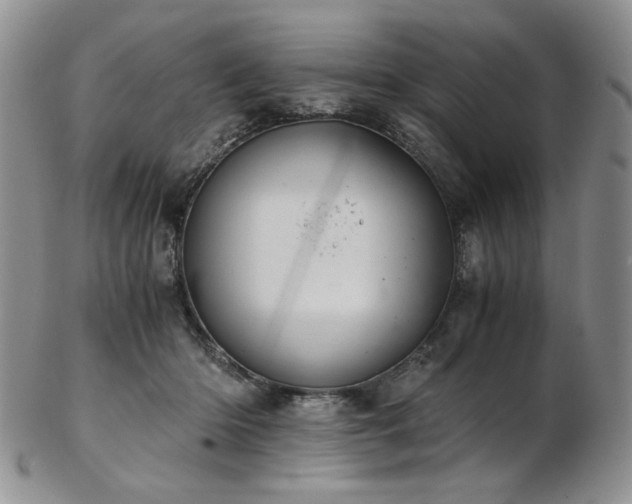 X0000103140414200808221220