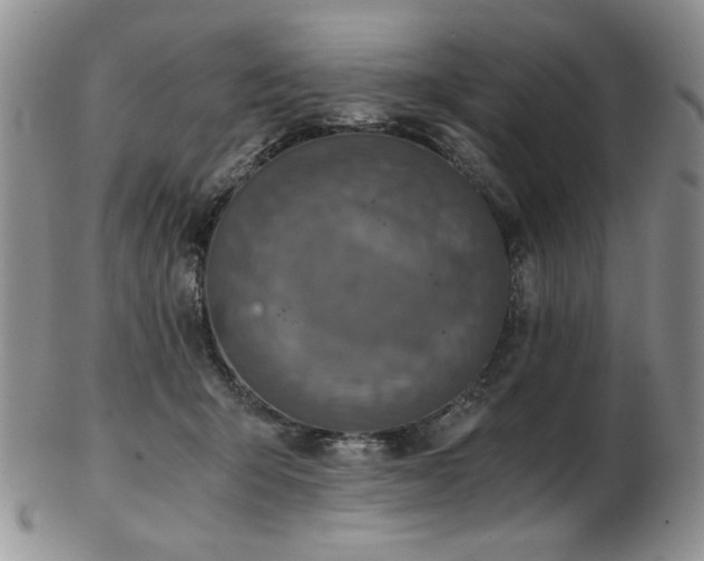 X0000103140415200808221220