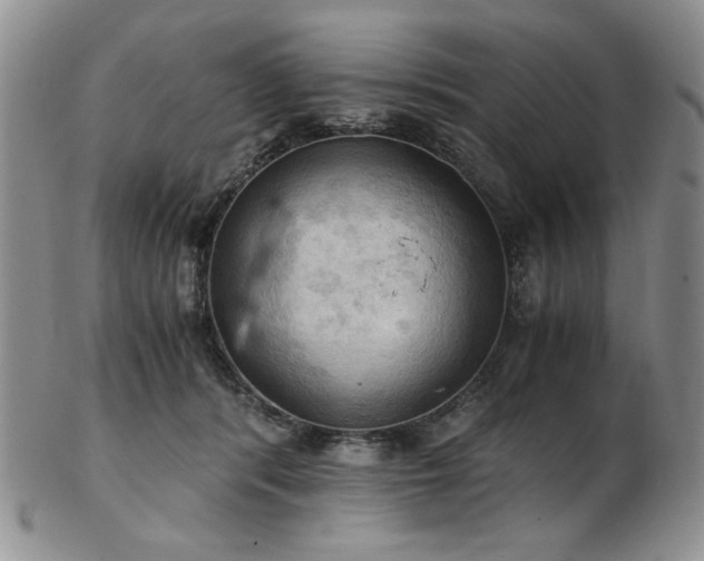 X0000103140416200808221220