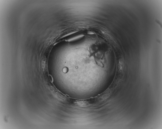 X0000103140417200808221220