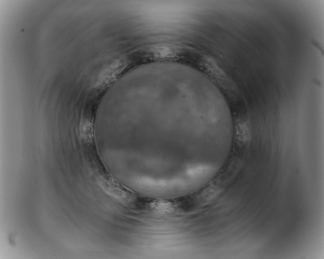 X0000103140419200808221220