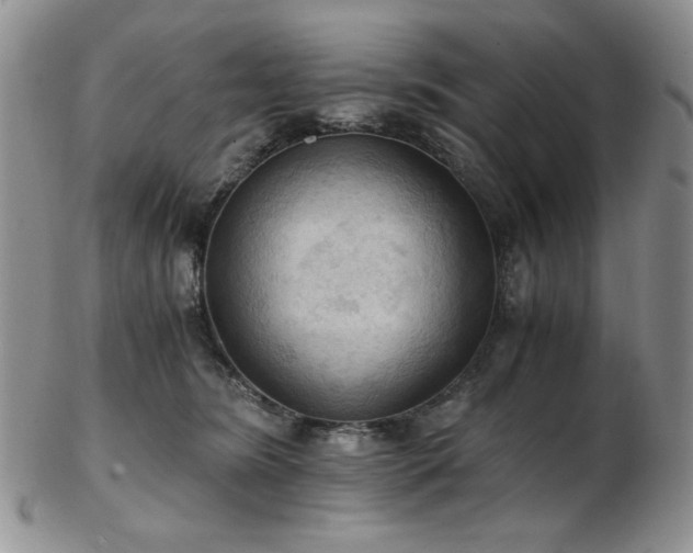 X0000103140420200808221220