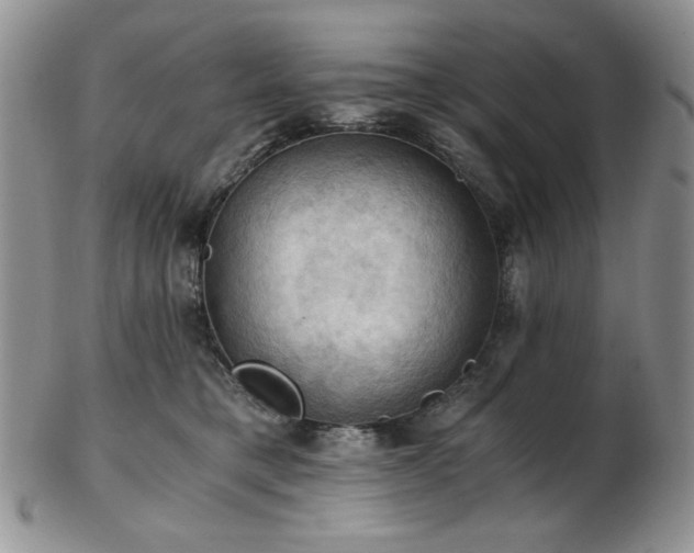 X0000103140421200808221220