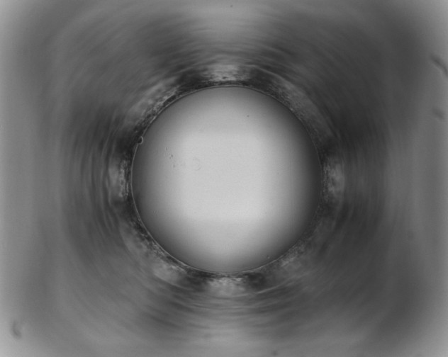 X0000103140422200808221220