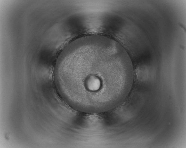 X0000103140423200808221220