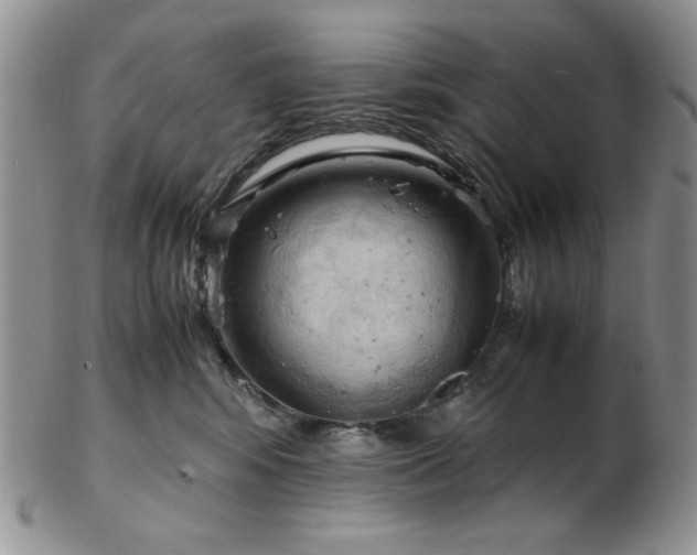 X0000103140424200808221220