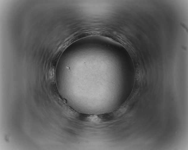 X0000103140425200808221220