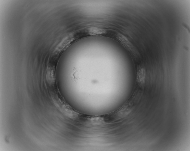 X0000103140426200808221220