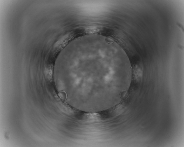 X0000103140427200808221220