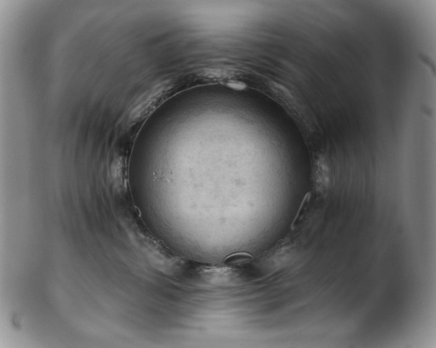 X0000103140428200808221220