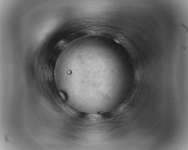 X0000103140429200808221220