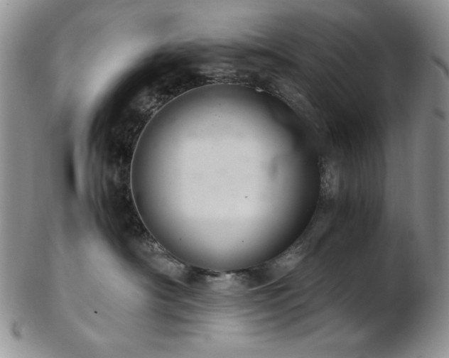 X0000103140430200808221220