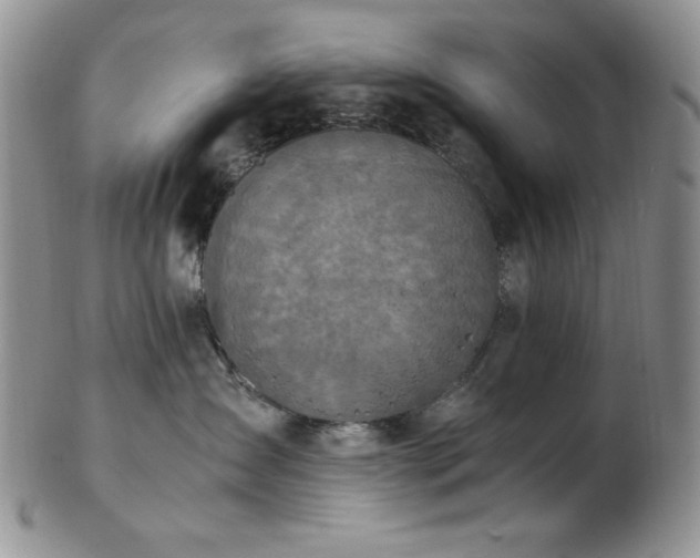 X0000103140431200808221220