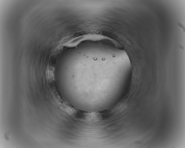 X0000103140432200808221220