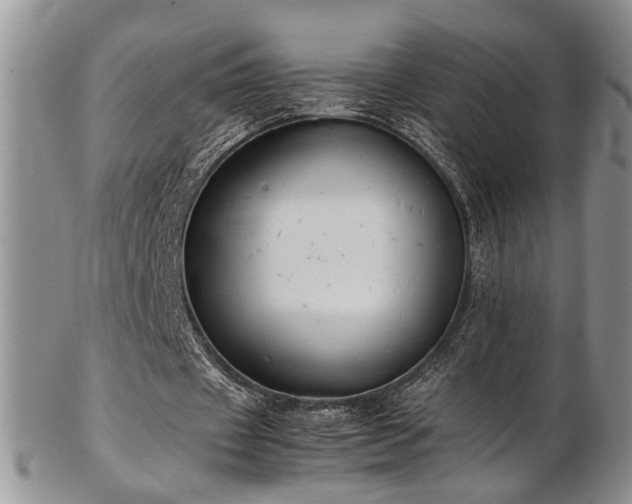 X0000103140433200808221219