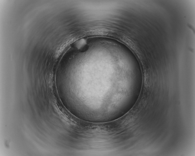 X0000103140434200808221219