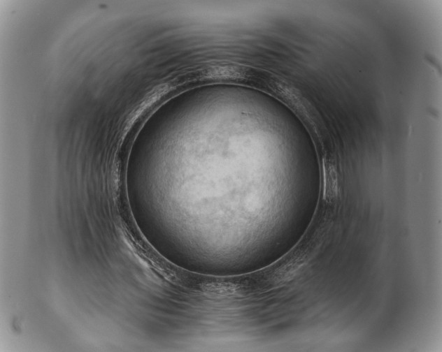 X0000103140435200808221219