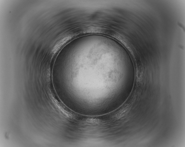 X0000103140437200808221219