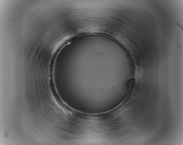 X0000103140438200808221219