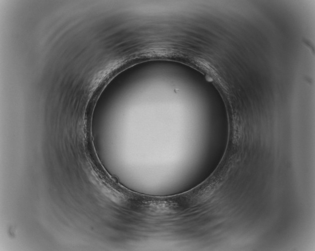 X0000103140439200808221219