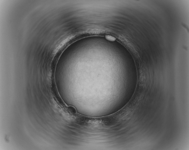 X0000103140440200808221219