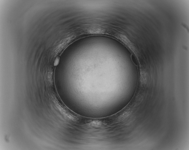 X0000103140441200808221219