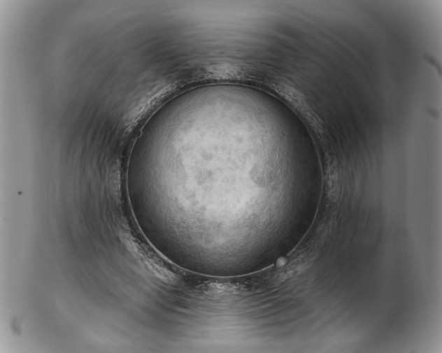 X0000103140442200808221219