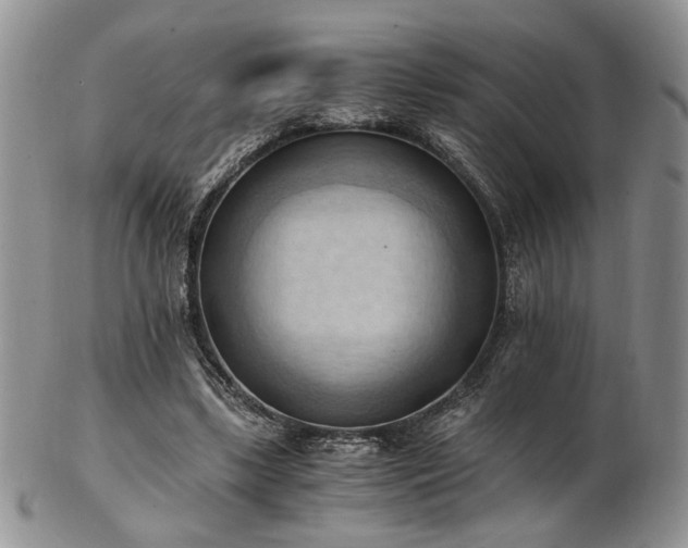 X0000103140443200808221219