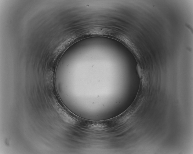 X0000103140445200808221219